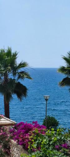 SARANDE Holiday wifi
