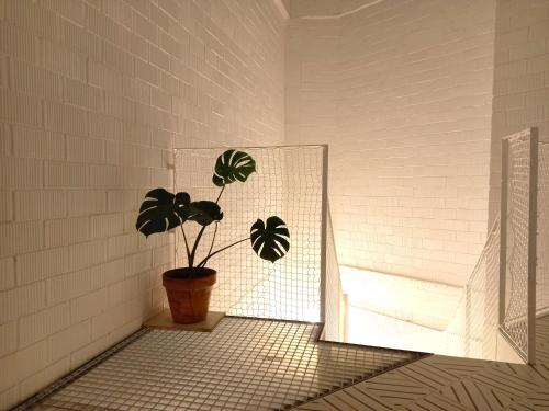 Casa entera e independiente con parking en pleno centro de Sevilla