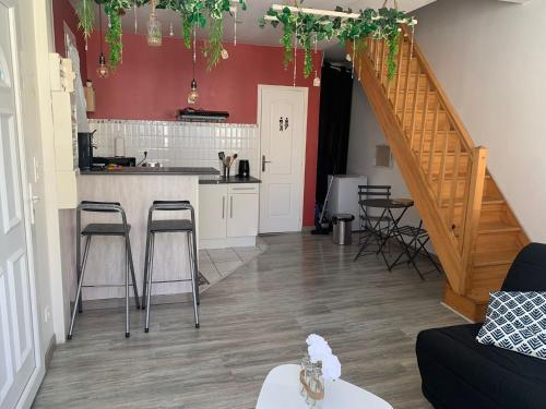 Charmant duplex de 28m2 en plein centre ville - Location saisonnière - Tarbes