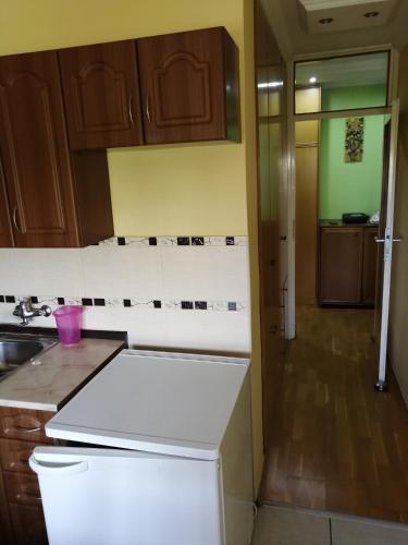 keuken, Apartman Radaković (Apartman Radakovic) in Prozivka