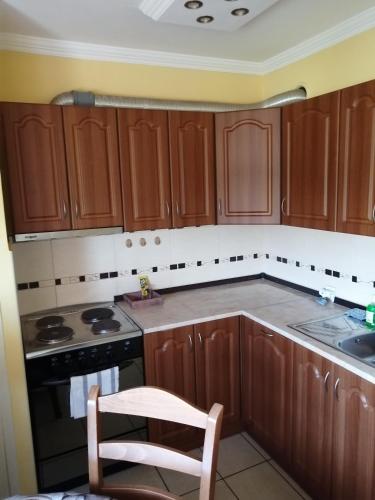 keuken, Apartman Radaković (Apartman Radakovic) in Prozivka