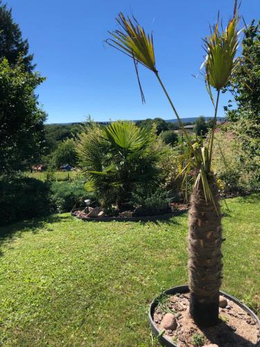 La Soranaise, chambre chez habitant à la campagne