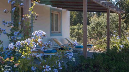  Monte Horizonte - The Private Villas - Turismo Rural - Eco & Nature in Santiago do Cacém