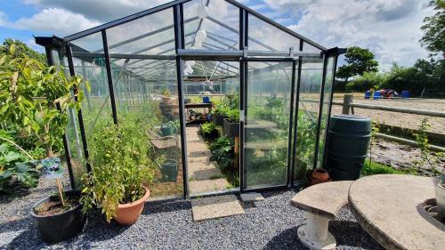 De Stjelp in Franeker