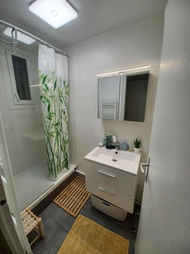 Chambre privée avec lit double - Appartement en colocation, quartier calme 13005 Marseille, Marseille (photo 7)
