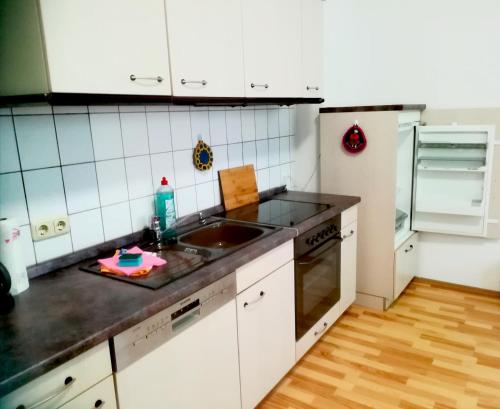 廚房, Ferienwohnung Axel - nahe Chemnitz in 林巴赫-奧伯弗羅納