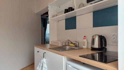 keuken, EVA HOUSE in Pačir