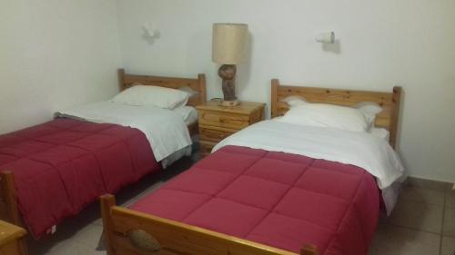  Elatos in Loutra Ipatis