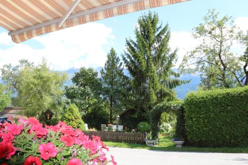 Pension Sonnenhof - image 10