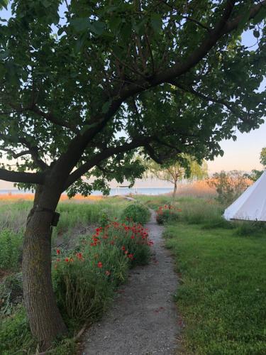 Home on Iznik Lake with its own Private Beach