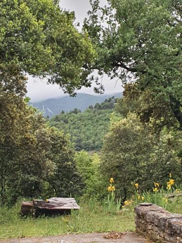 Ménerbes, Mas 18eme, design tout confort, calme. FIBRE haut debit gîte à louer Goult