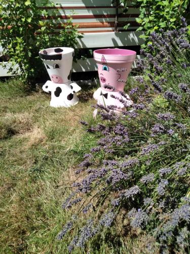 Ferme Pedagogique des Pennetieres