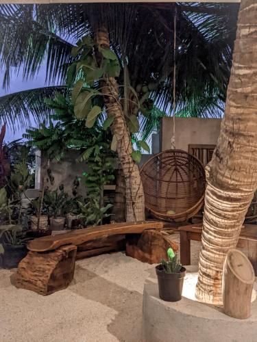 圖魯斯杜多阿迪度假酒店 Dhoadhi Retreat Thulusdhoo