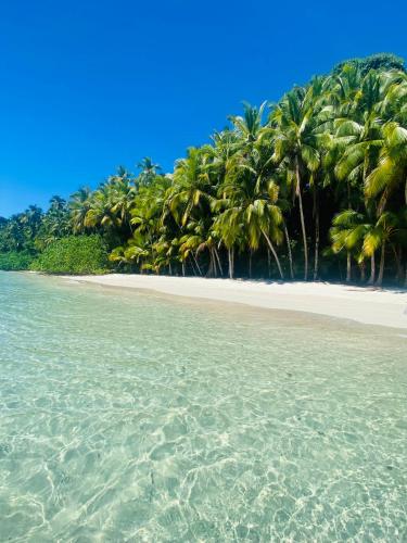 Діяльність, Villa Coco in Санта-Каталіна