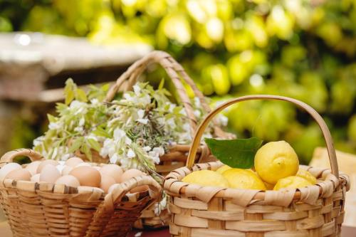 Casa Agricola da Levada Eco Village - image 2