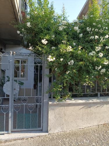 San Salvo house garden - Apartment - San Salvo