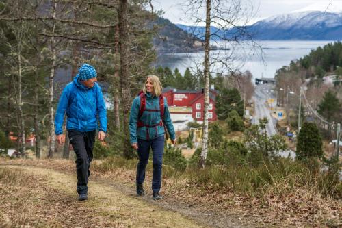 Dragsvik Fjordhotel - image 4