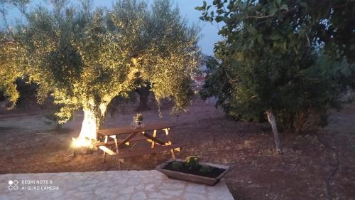 Villa in the Olive Trees