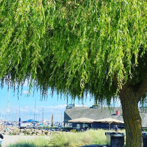 Annex near beach close to Copenhagen in เวดเบก