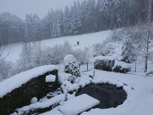 Ferienwohnung Schwalbennest