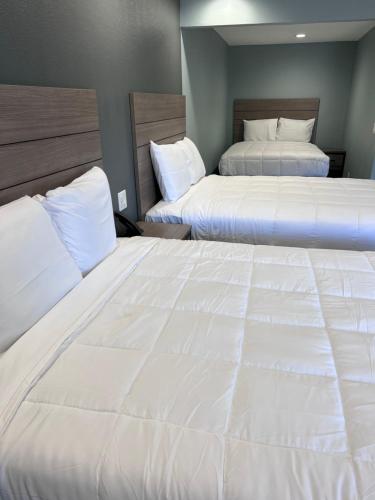 Surf City Inn & Suites - image 12