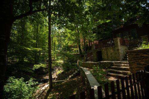Vrt, Pine Villas Brezovice in Prevalle