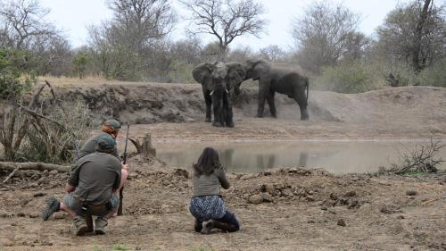 Africa on Foot