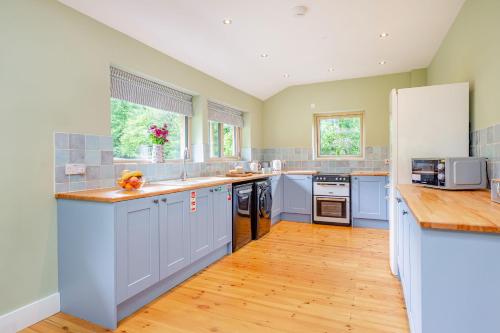 Bluebell - image 9