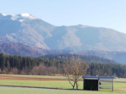 GLAMPING HOUSE RANČ LUŽE