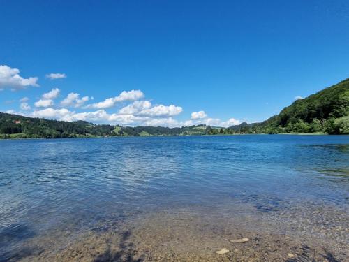 Allgäuer Ausblick