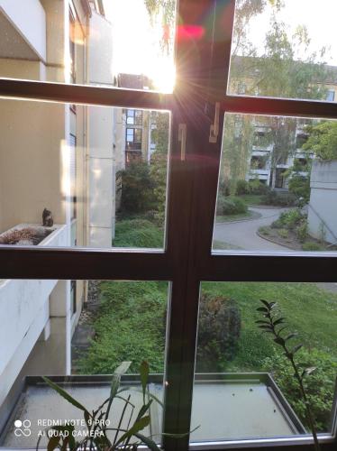 Apartment Panorama Apartment Panorama