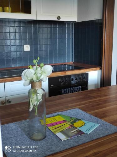 Apartment Panorama Apartment Panorama