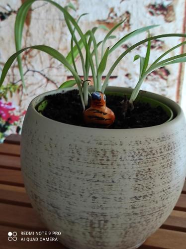 Apartment Panorama Apartment Panorama