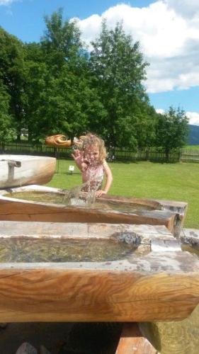 Urlaub am Bauernhof Gänser