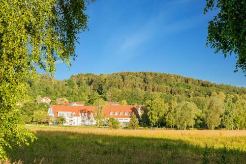 Landhotel Alte Mühle - Hotel - Ostrach