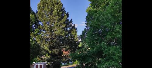 Apartment Panorama Apartment Panorama