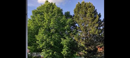 Apartment Panorama Apartment Panorama