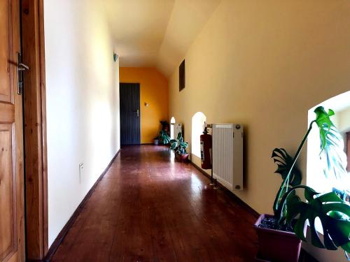 Penzion Jiřičná (Penzion Jiricna) in Petrovice U Susice