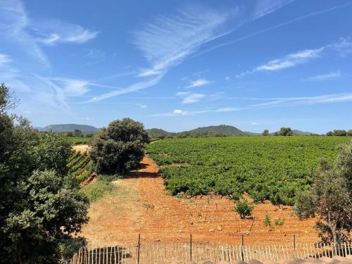 Gite Les Robiniers gîte à louer Sivabelle