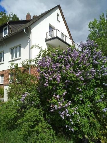 Ferienwohnung Zum Pön in Medebach, Deutschland