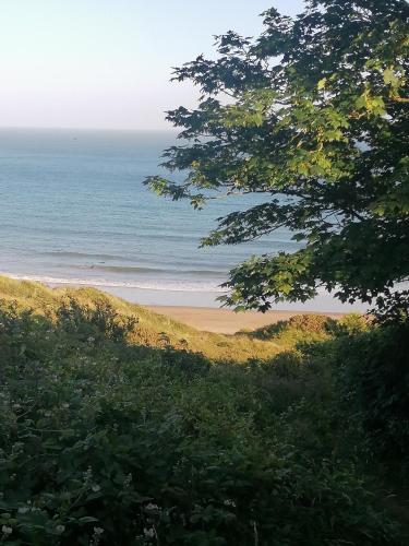 Le Chalet - 2 Bedroom Chalet House sleeps 3, Pembrokeshire