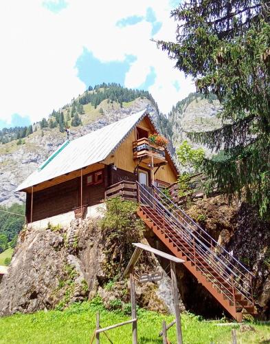 Il nido (Cica) in Sottoguda