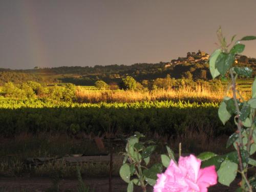 Kilátás, Petite Suite Douillette in Gignac