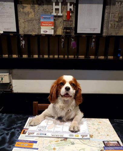 ホテル フェドラ