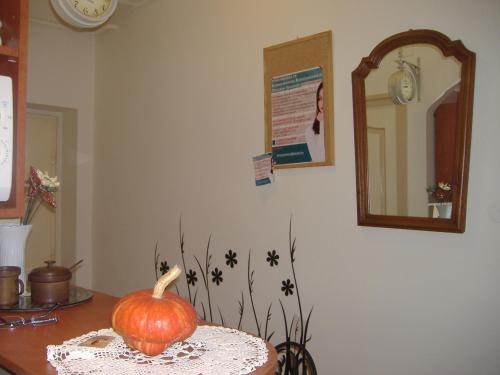 

Rusztikus lakás kilátással