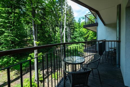 Apartmament nowy widok na las, Шклярска-Поремба (фото 6)