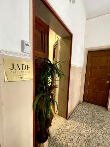 Jade Stays 5