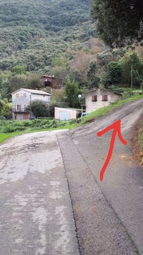 Charmant appartement au cœur de la montagne Corse