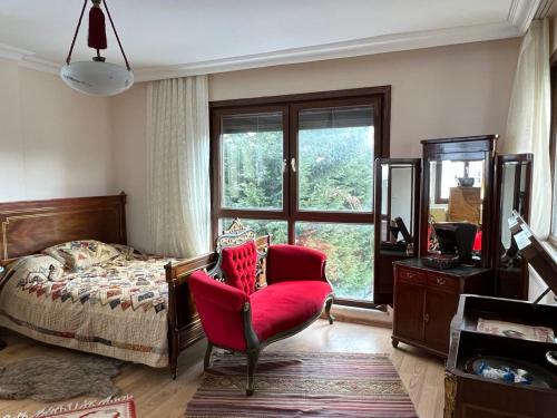 Tranquil Country Villa apart with Antique Concept, Unique Landscape and Garden in Beykoz
