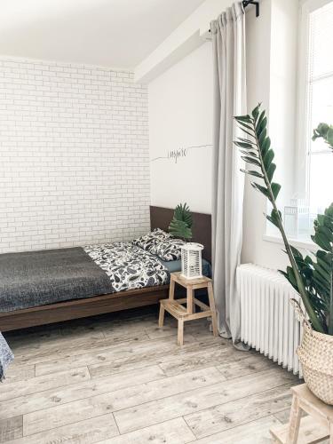 Charming Old Town Apartment with AC in Bratislava, Bratysława (zdjęcie 9)